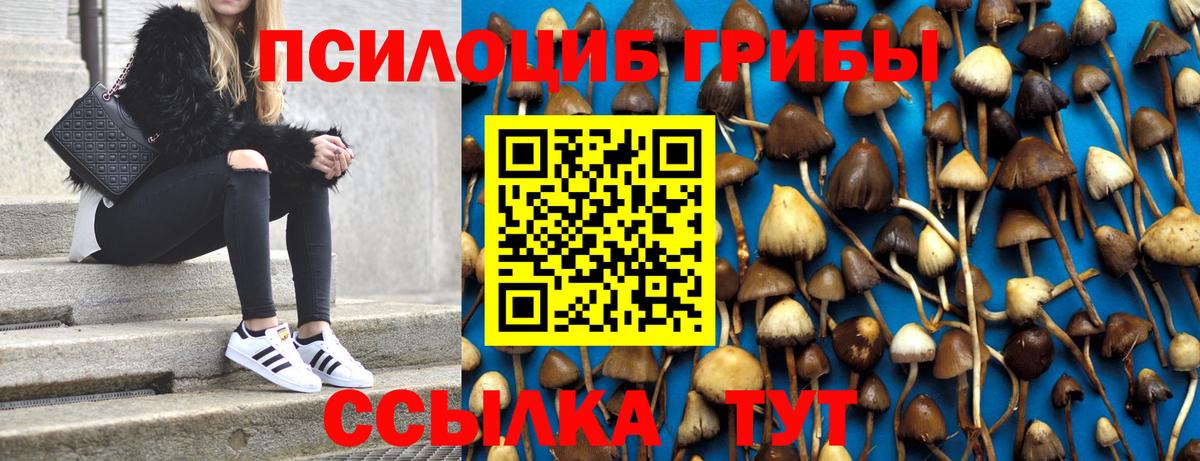 Галлюциногенные грибы Cubensis  Вход с VPN  Качканар  Псилоцибиновые грибы Magic Shrooms 
